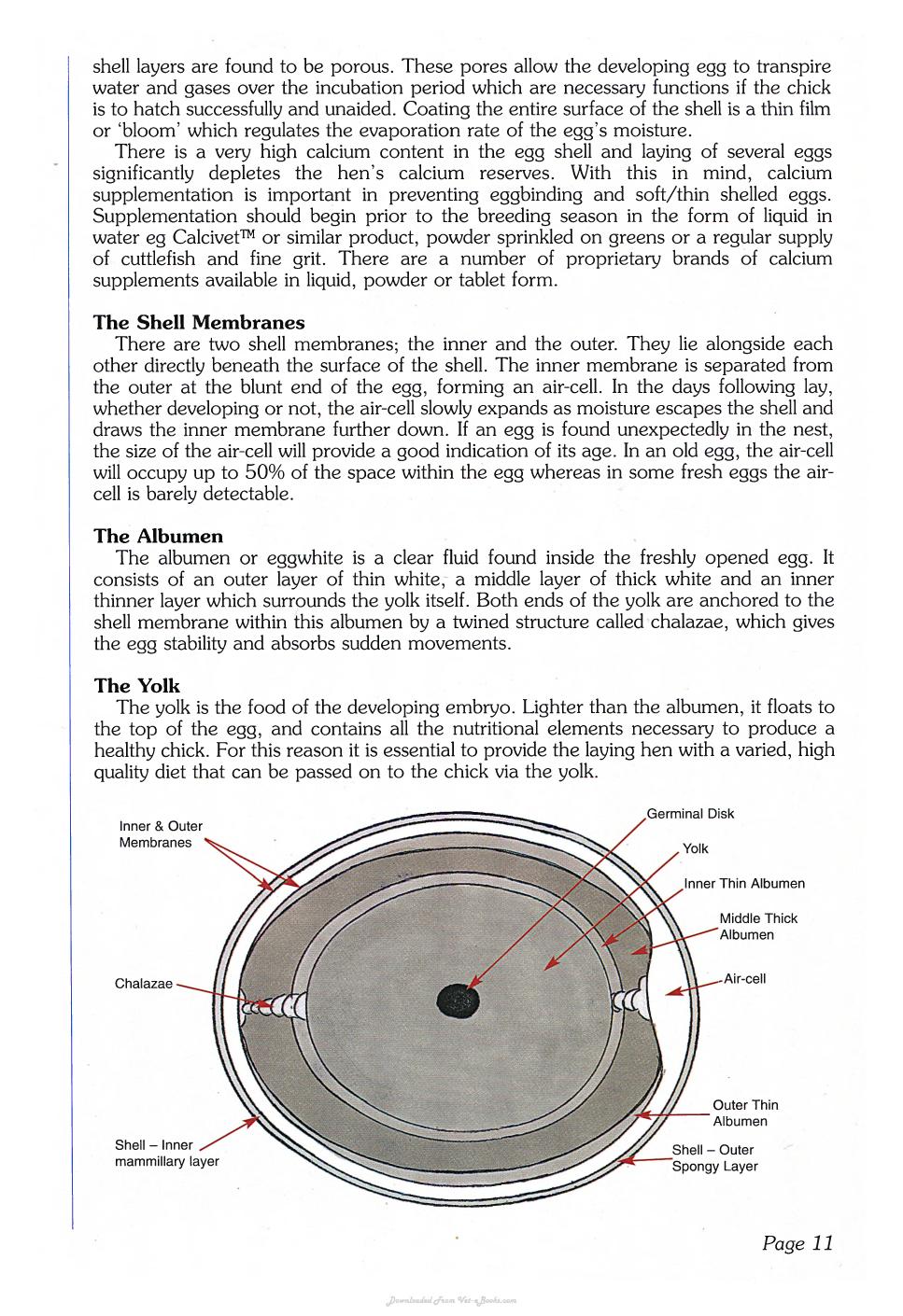 Look inside — page 11