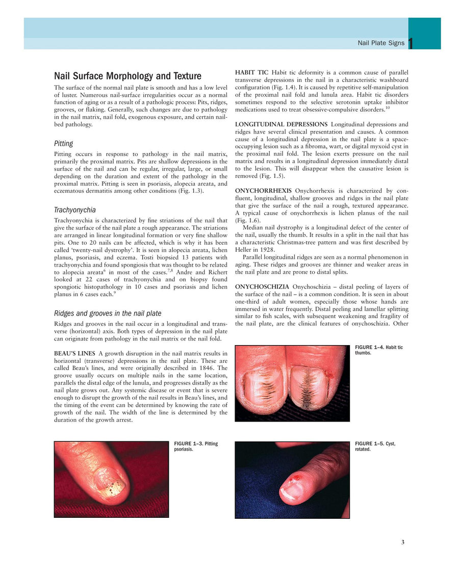 Preview page of Nails: Diagnosis, Therapy, Surgery
