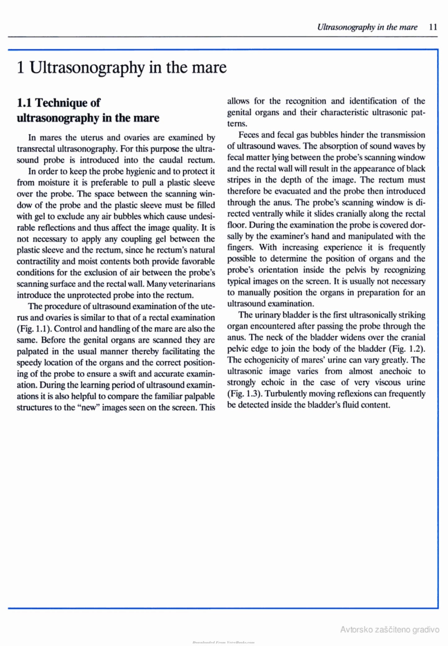 Veterinary Reproductive Ultrasonography