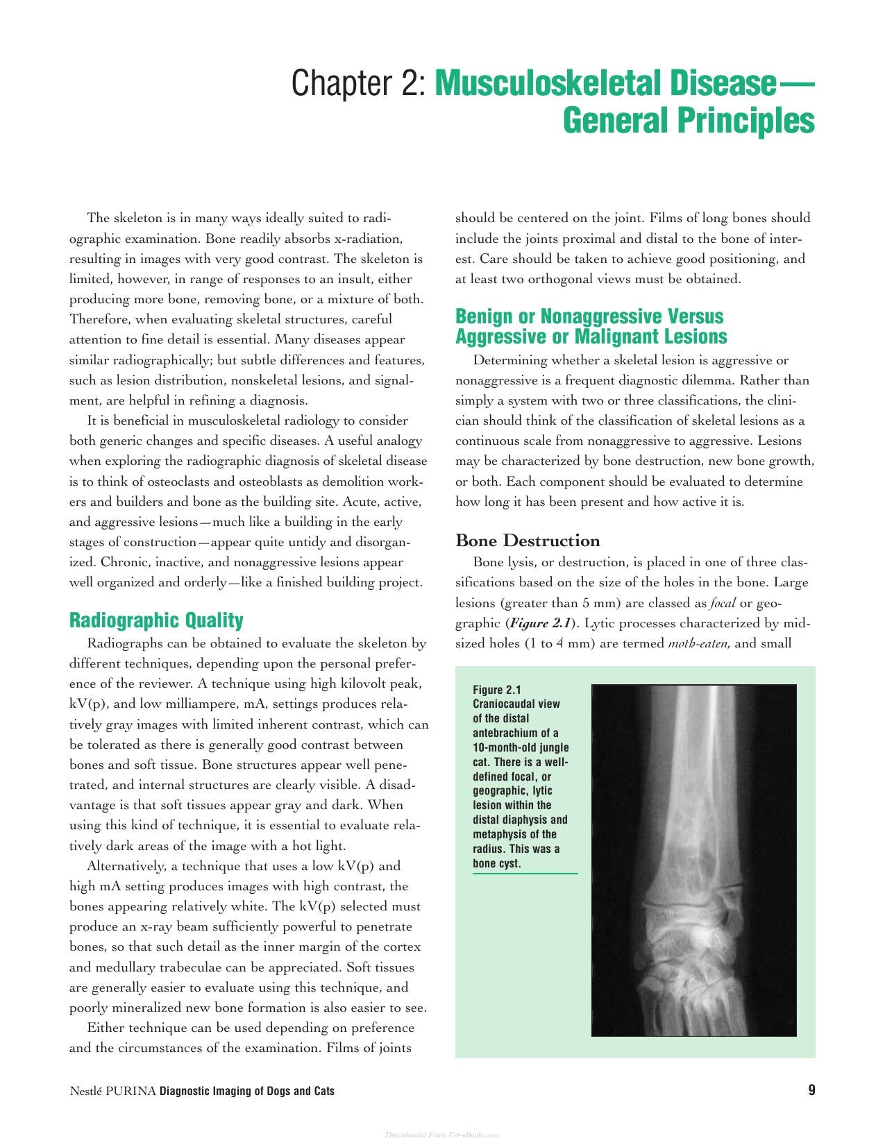 Diagnostic Imaging Of Dogs And Cats
