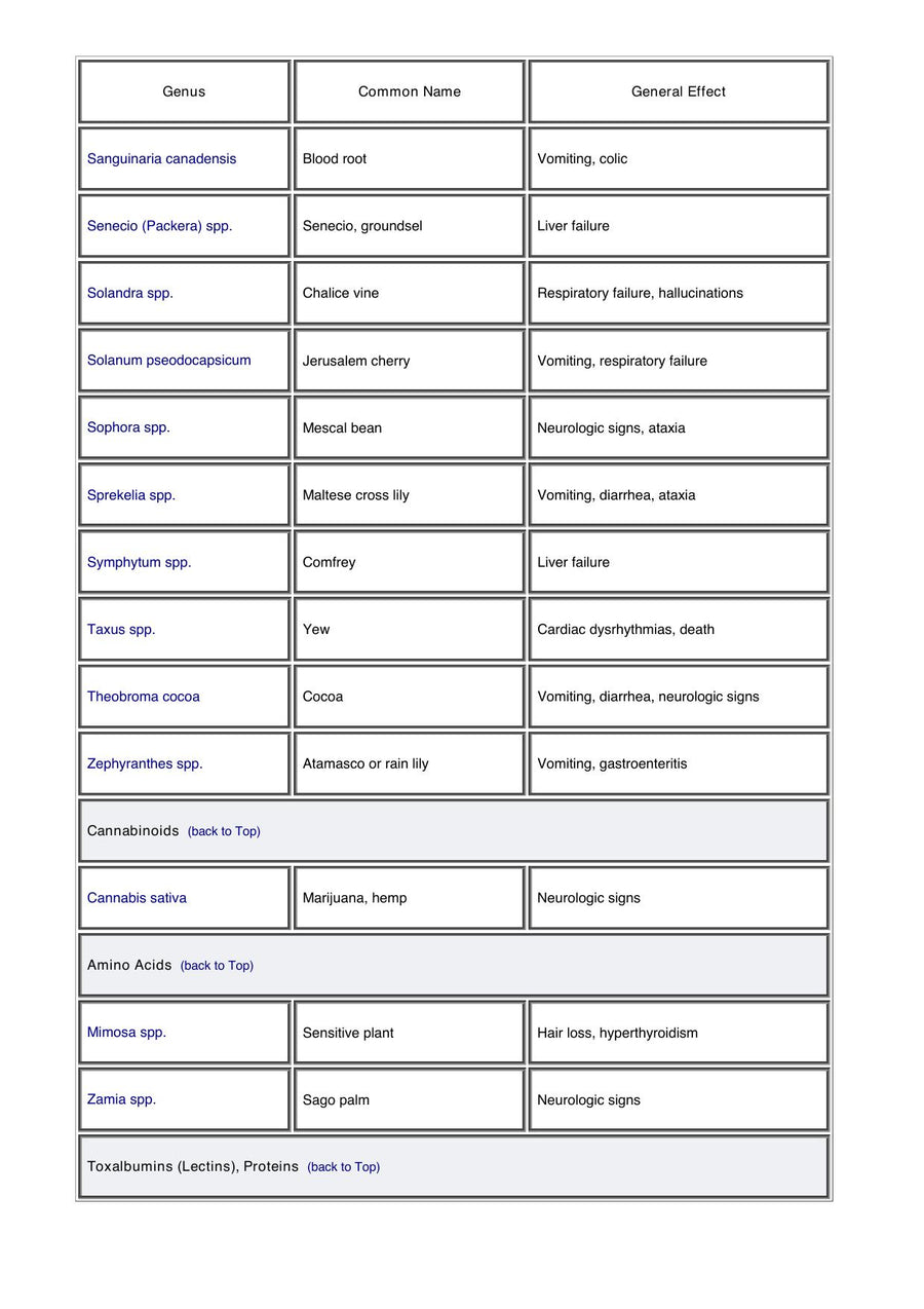 Preview page of A Guide to Poisonous House and Garden Plants