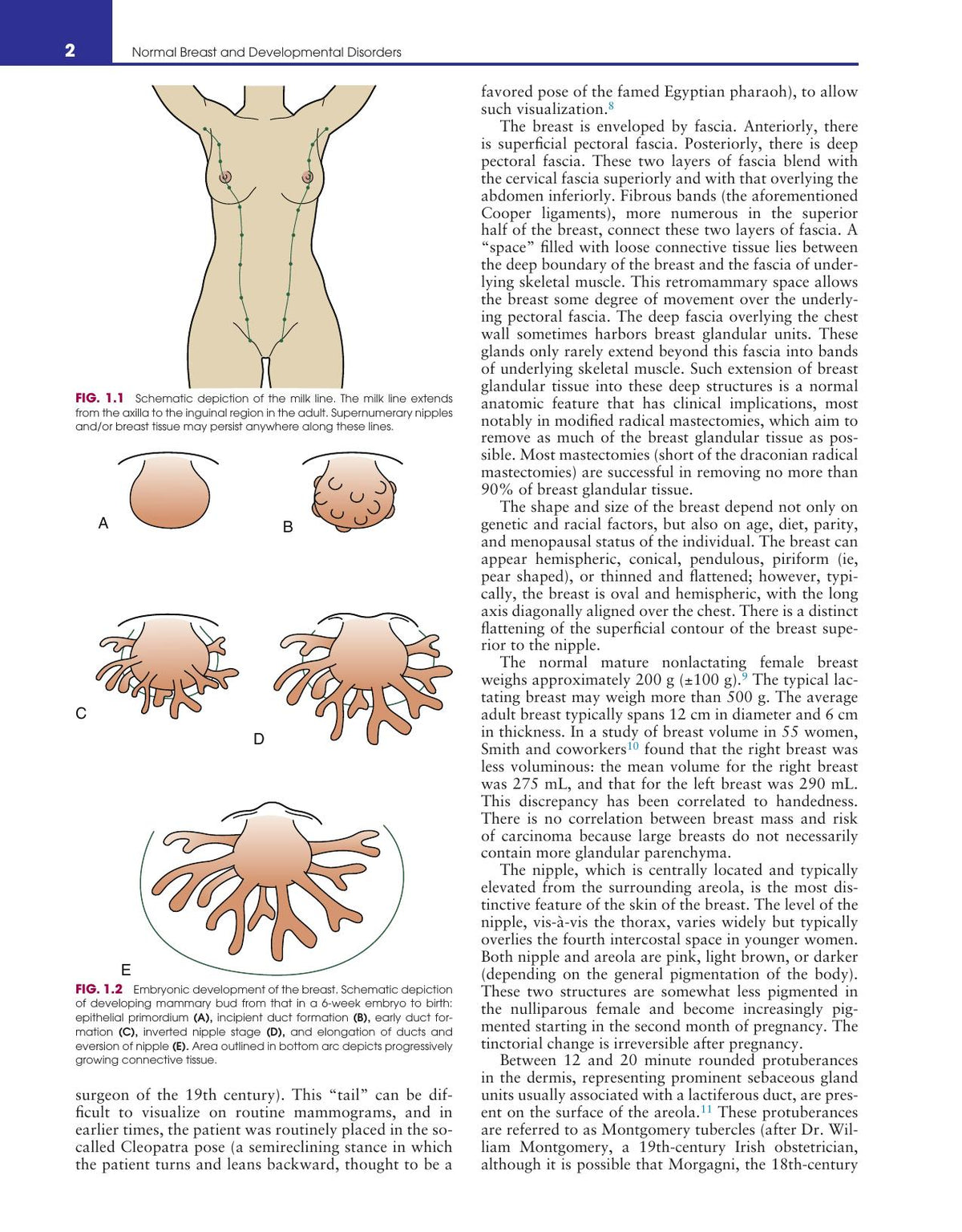 Look inside — page 11