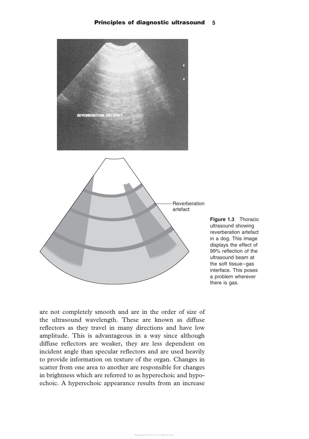 Diagnostic Ultrasound In Small Animal Practice