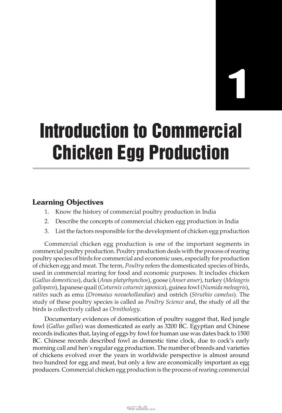 Commercial Chicken Egg Production