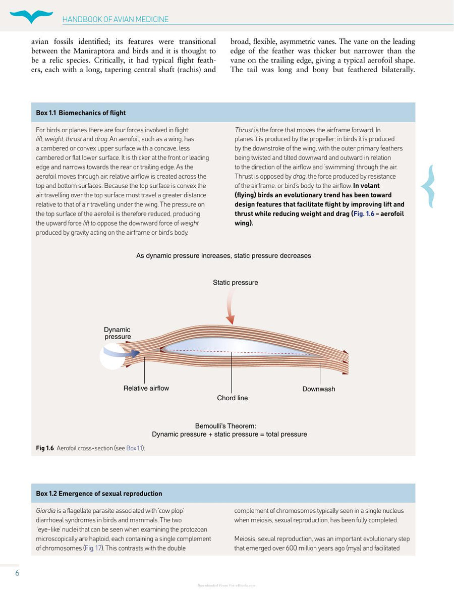 Preview page of Handbook of Avian Medicine 2nd Edition