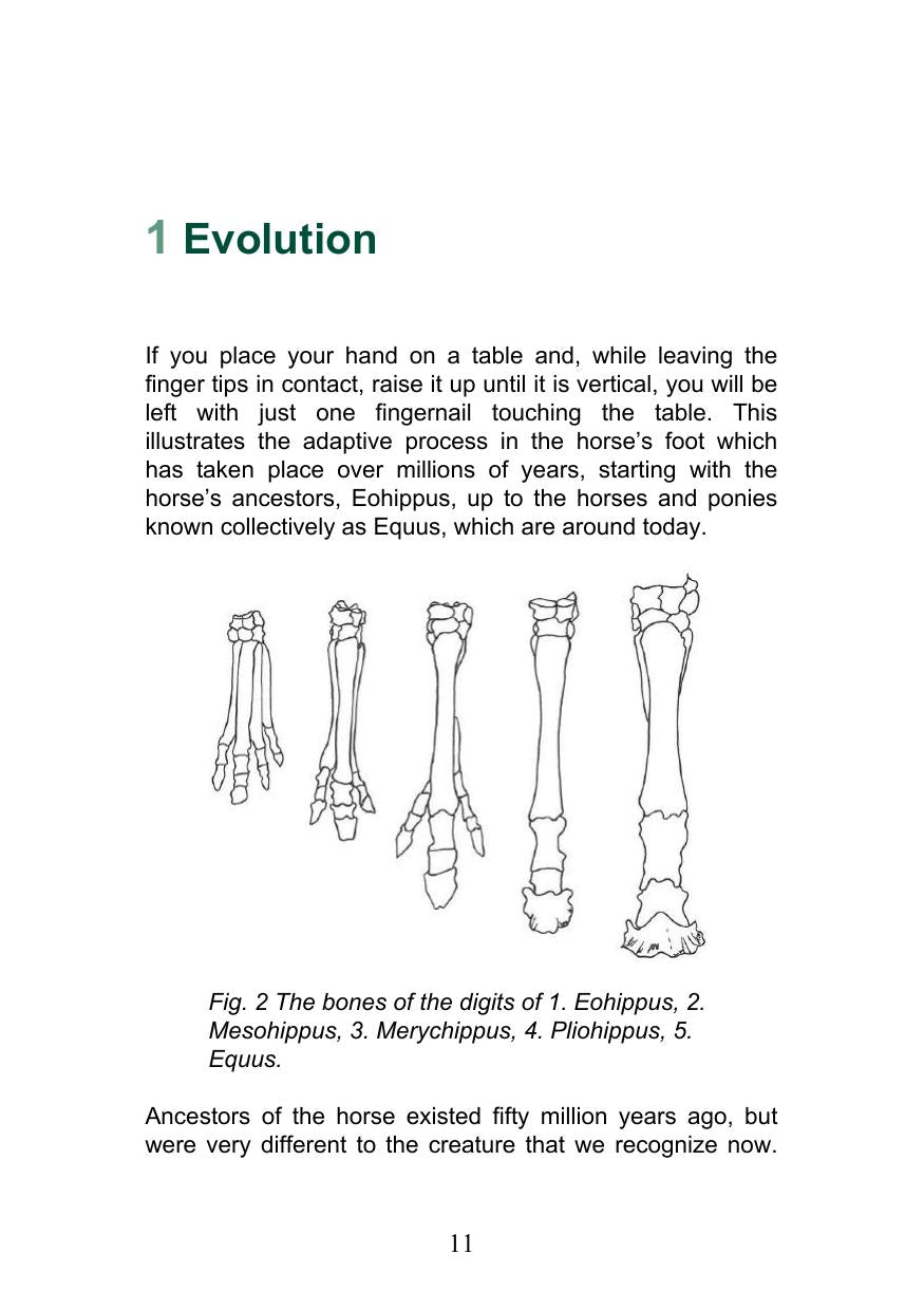 Look inside — page 11