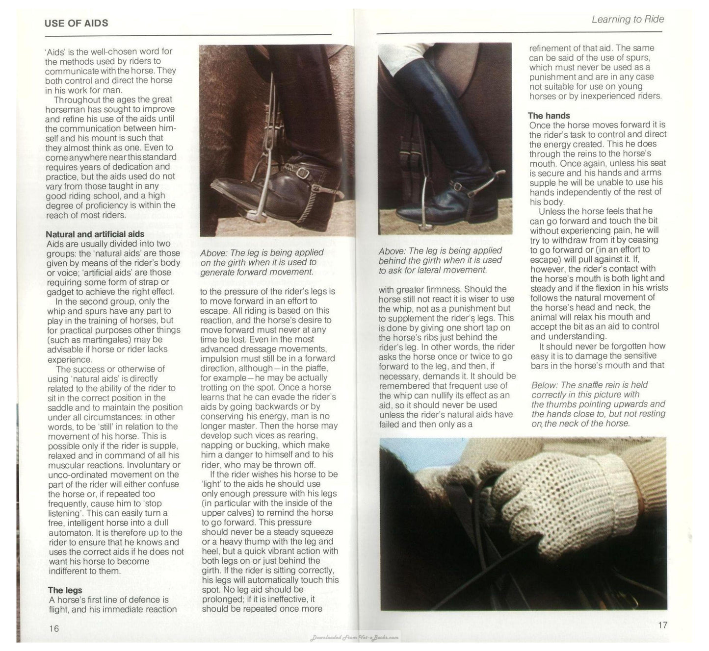 Young Riders Guide To Horse And Pony Care
