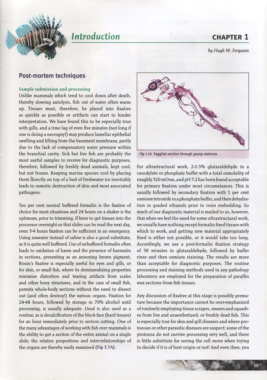 Systemic Pathology Of Fish A Text And Atlas Of Normal Tissues In Teleosts And Their Response In Disease 2nd Edition