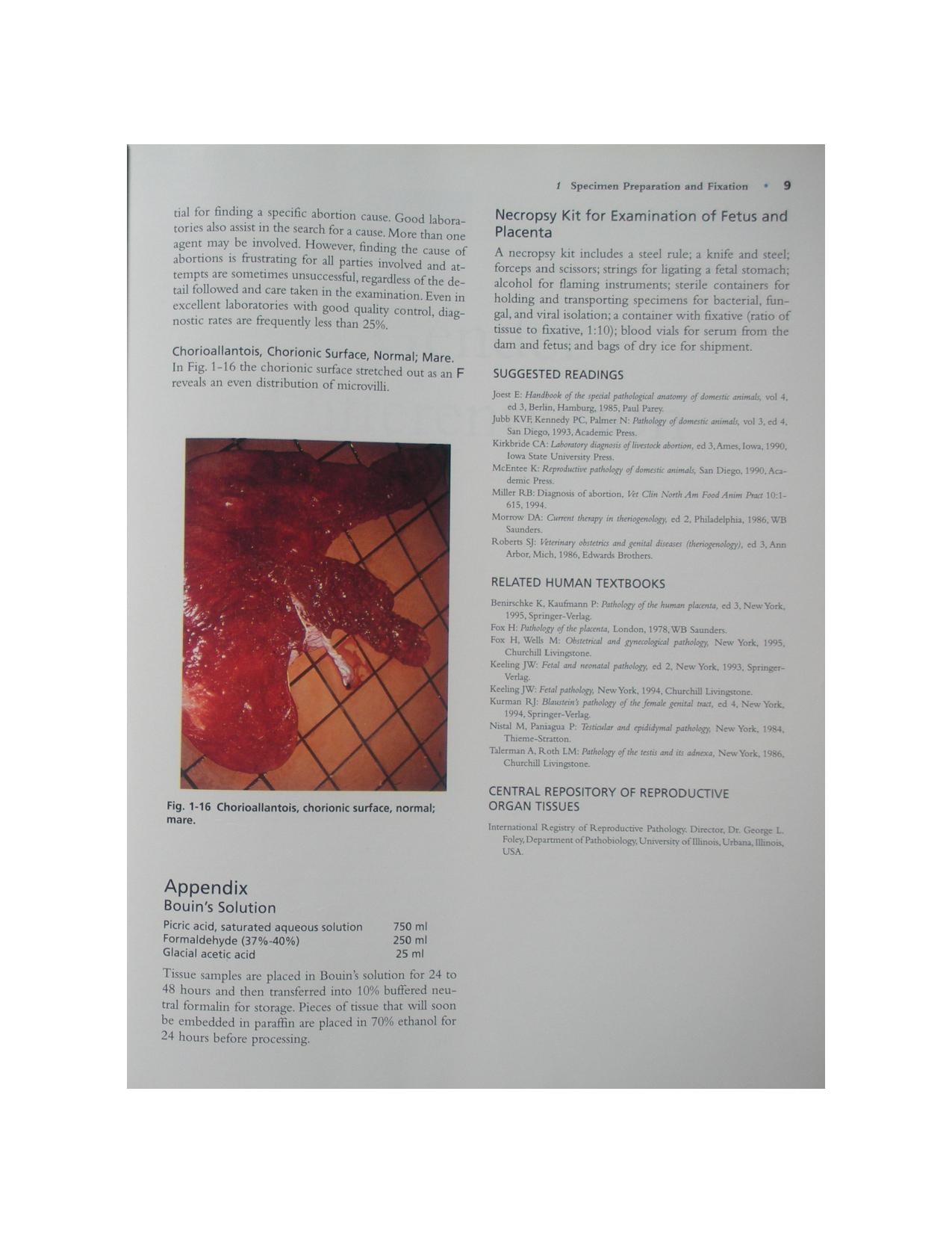 Color Atlas Of Reproductive Pathology Of Domestic Animals