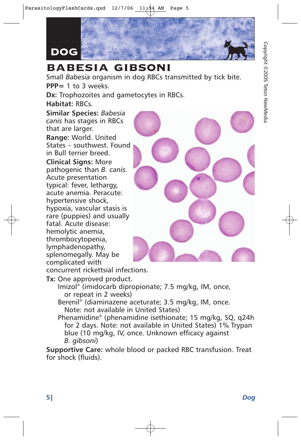 Parasitology Diagnosis And Treatment Of Common Parasitisms In Dogs And Cats