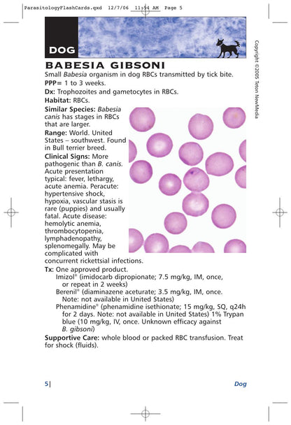 Parasitology Diagnosis and Treatment of Common Parasitisms in Dogs and Cats