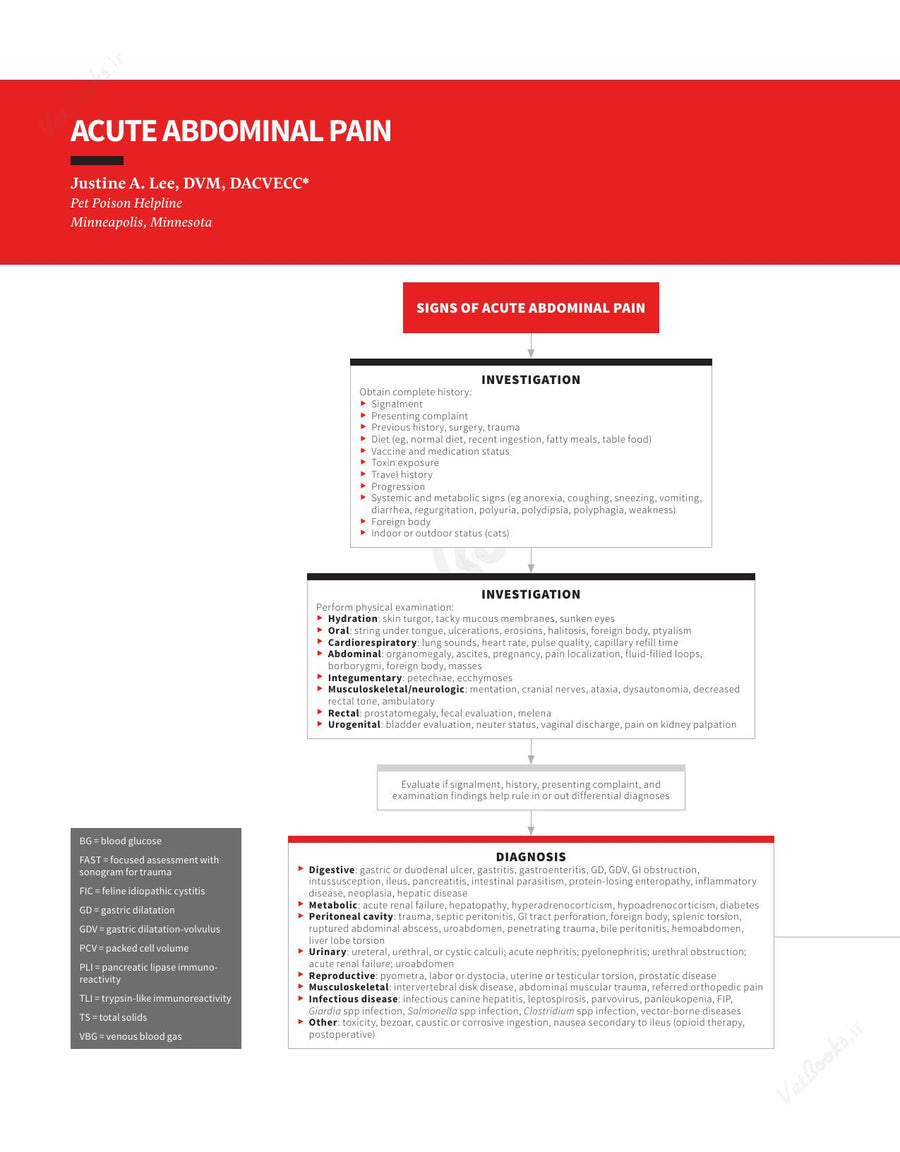Preview page of Clinician's Brief Algorithms to Guide Your Diagnosis and Treatment