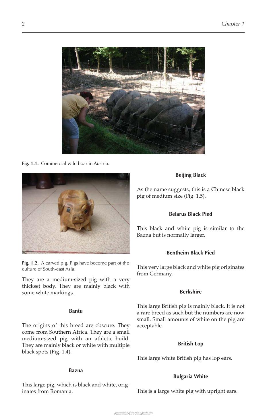 Look inside — page 11