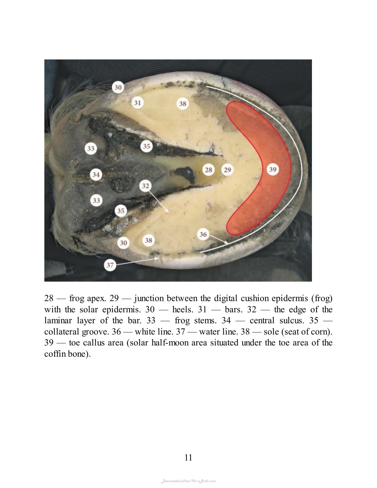 Look inside — page 11