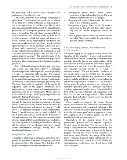 Veterinary Periodontology