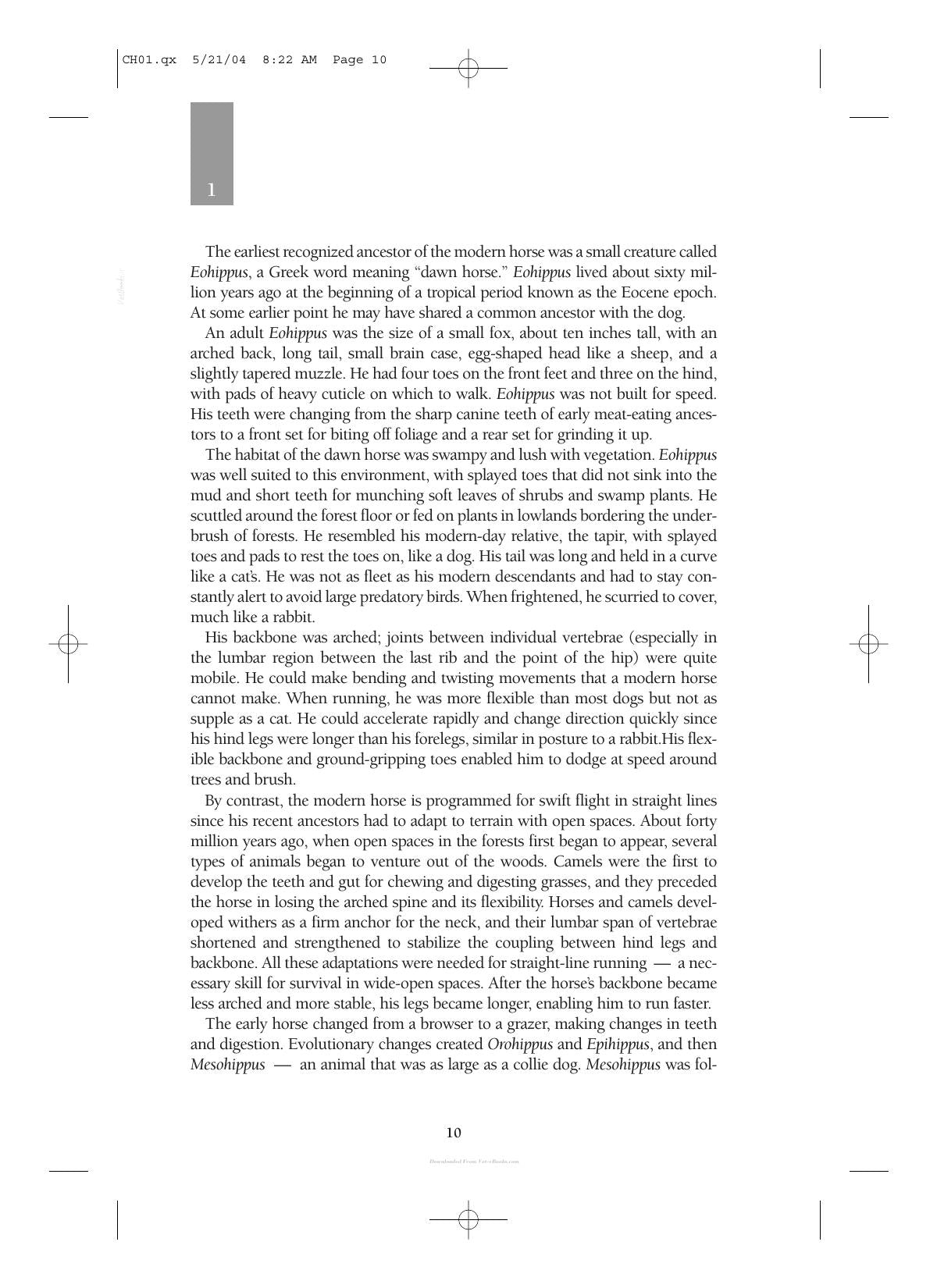 Care And Management Of Horses A Practical Guide For The Horse Owner