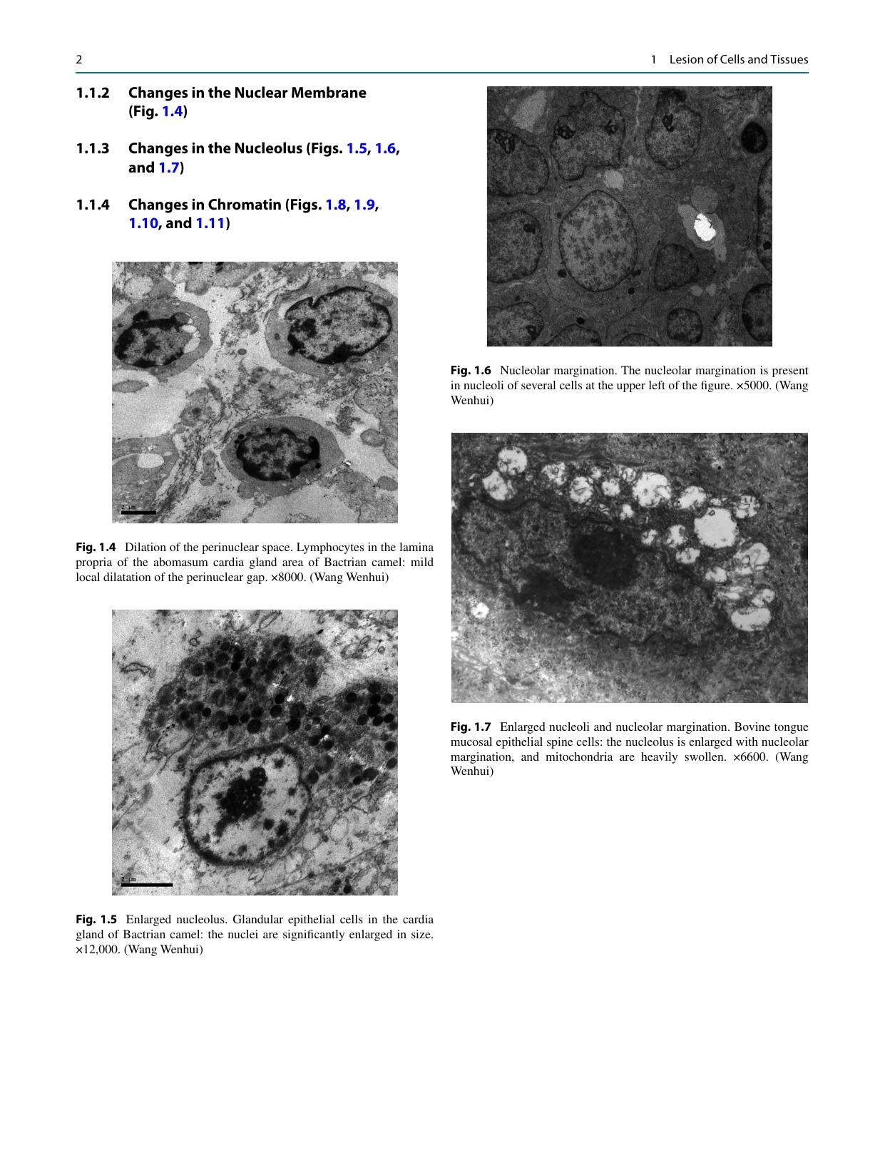 Look inside — page 11