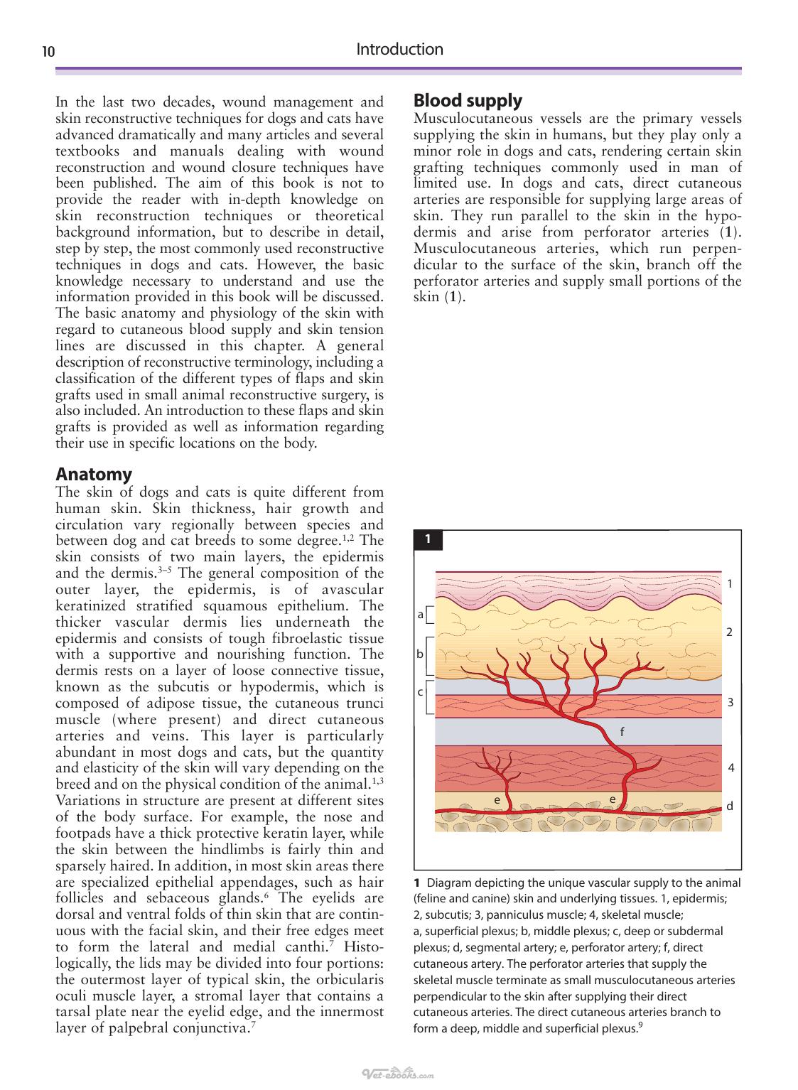 Look inside — page 11
