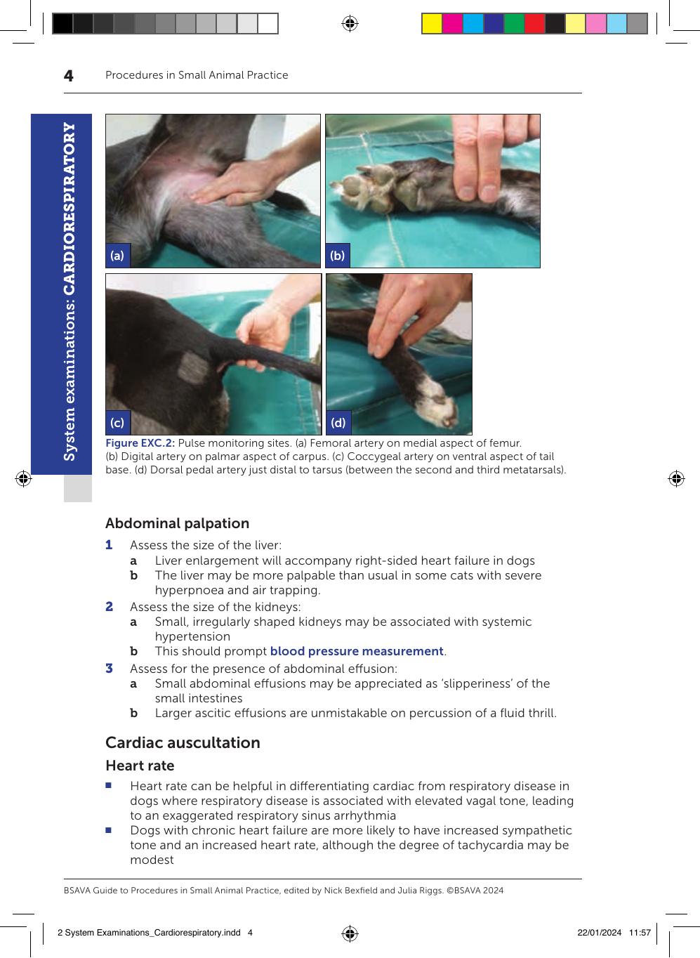 Bsava Guide To Procedures In Small Animal Practice 3Rd Edition