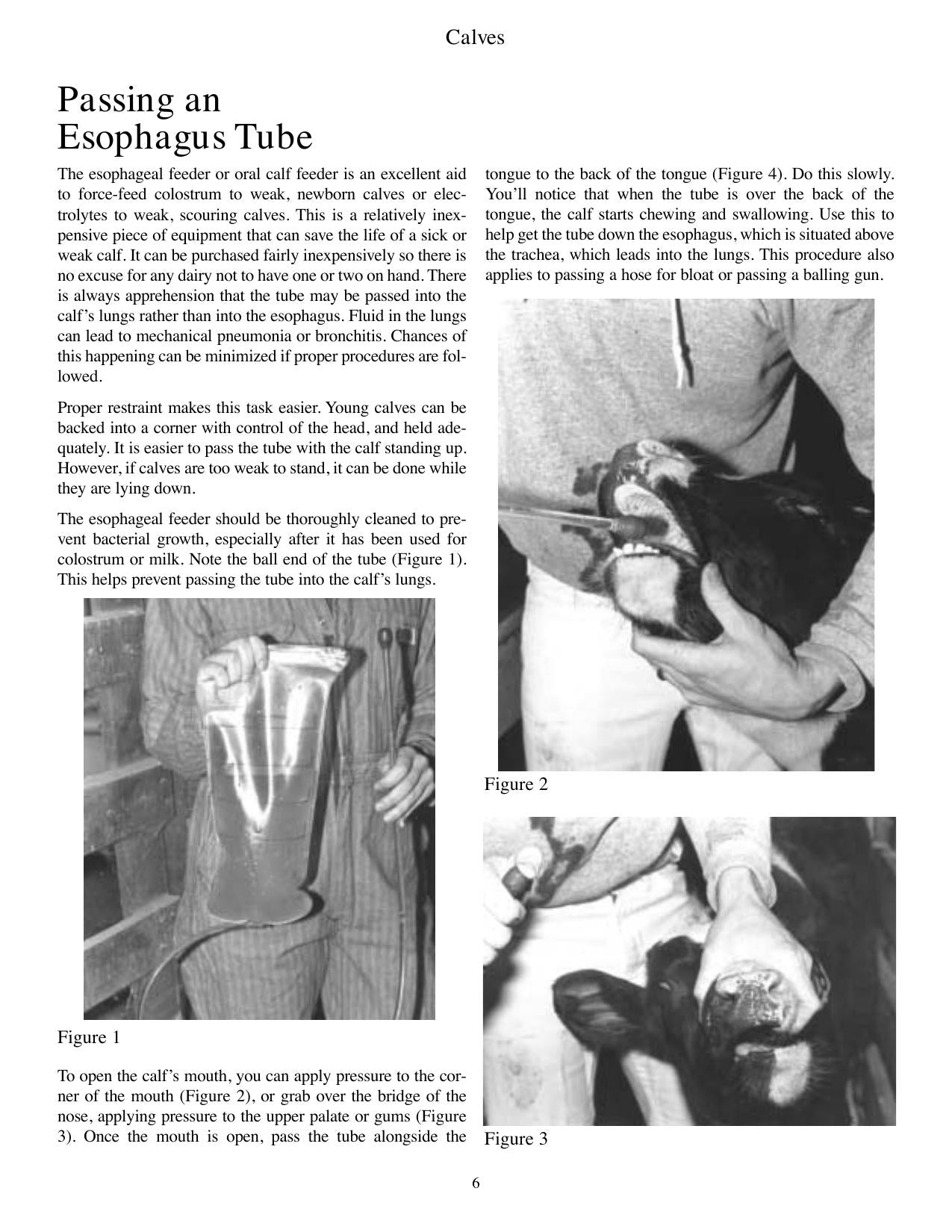 Look inside — page 11