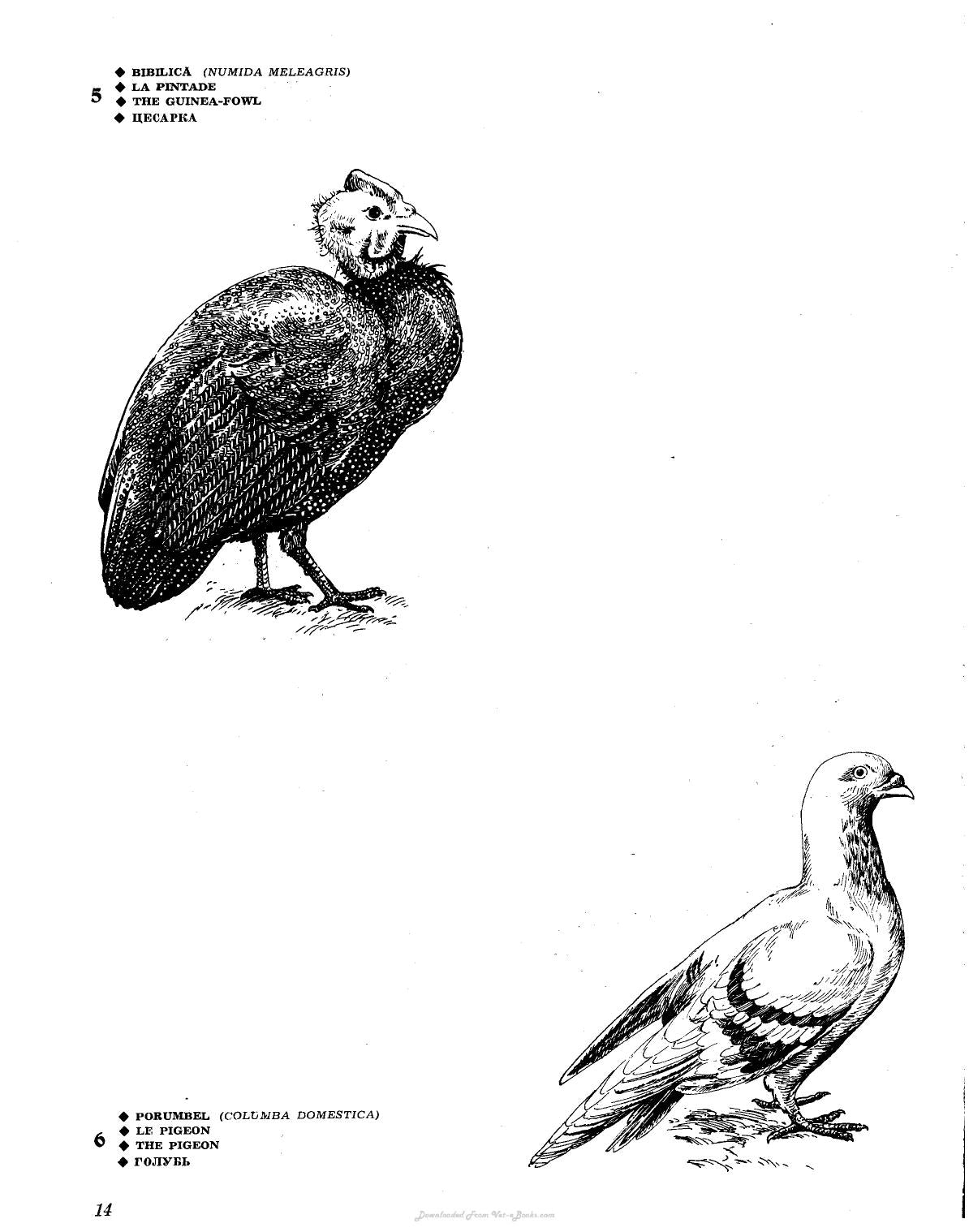 Look inside — page 11