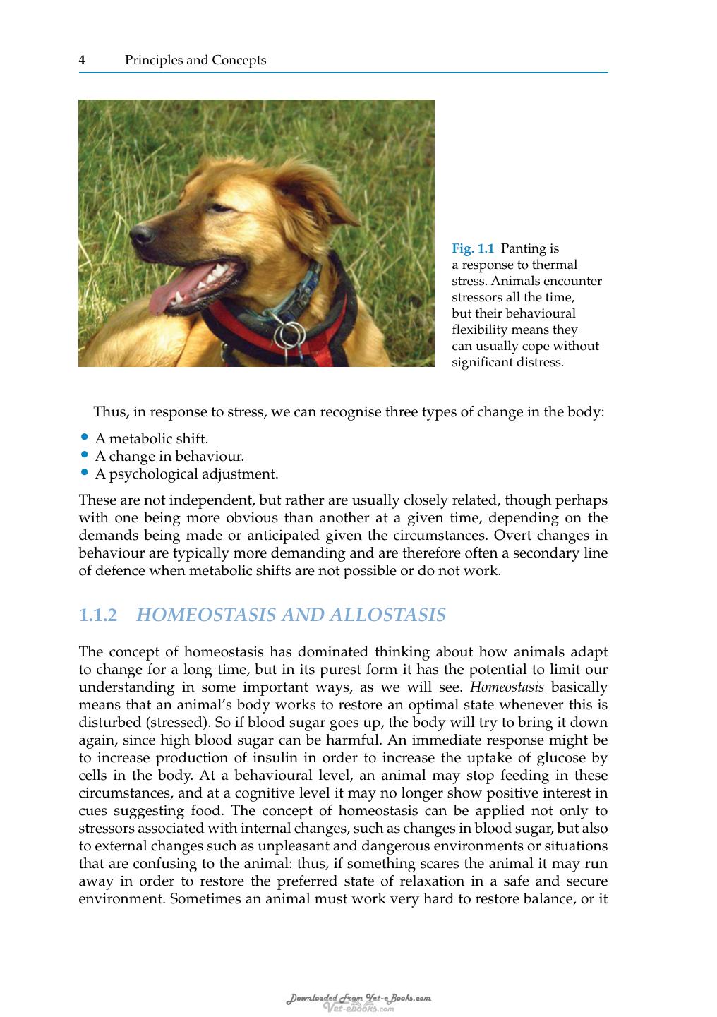 Stress And Pheromonatherapy In Small Animal Clinical Behaviour
