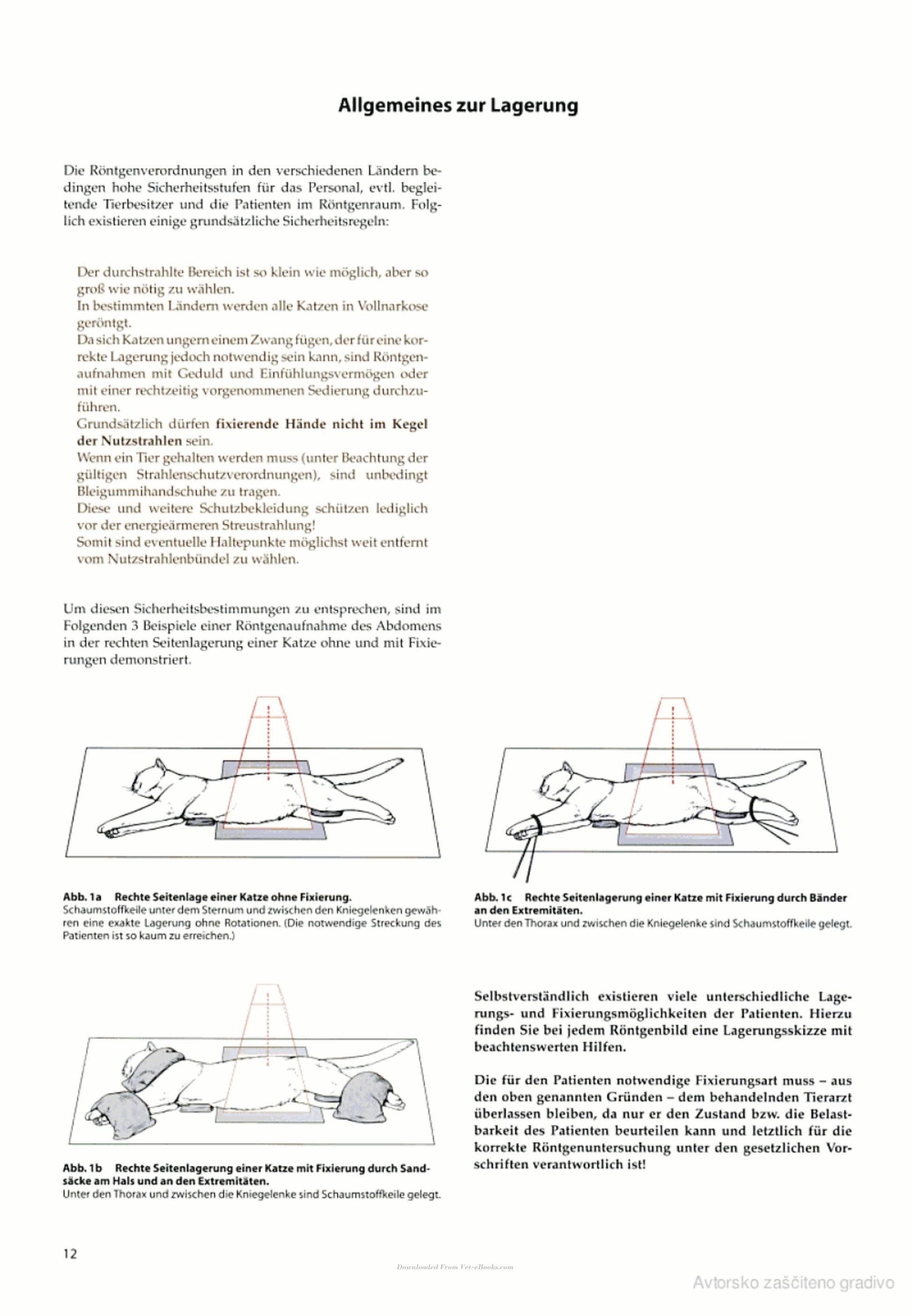 Look inside — page 11