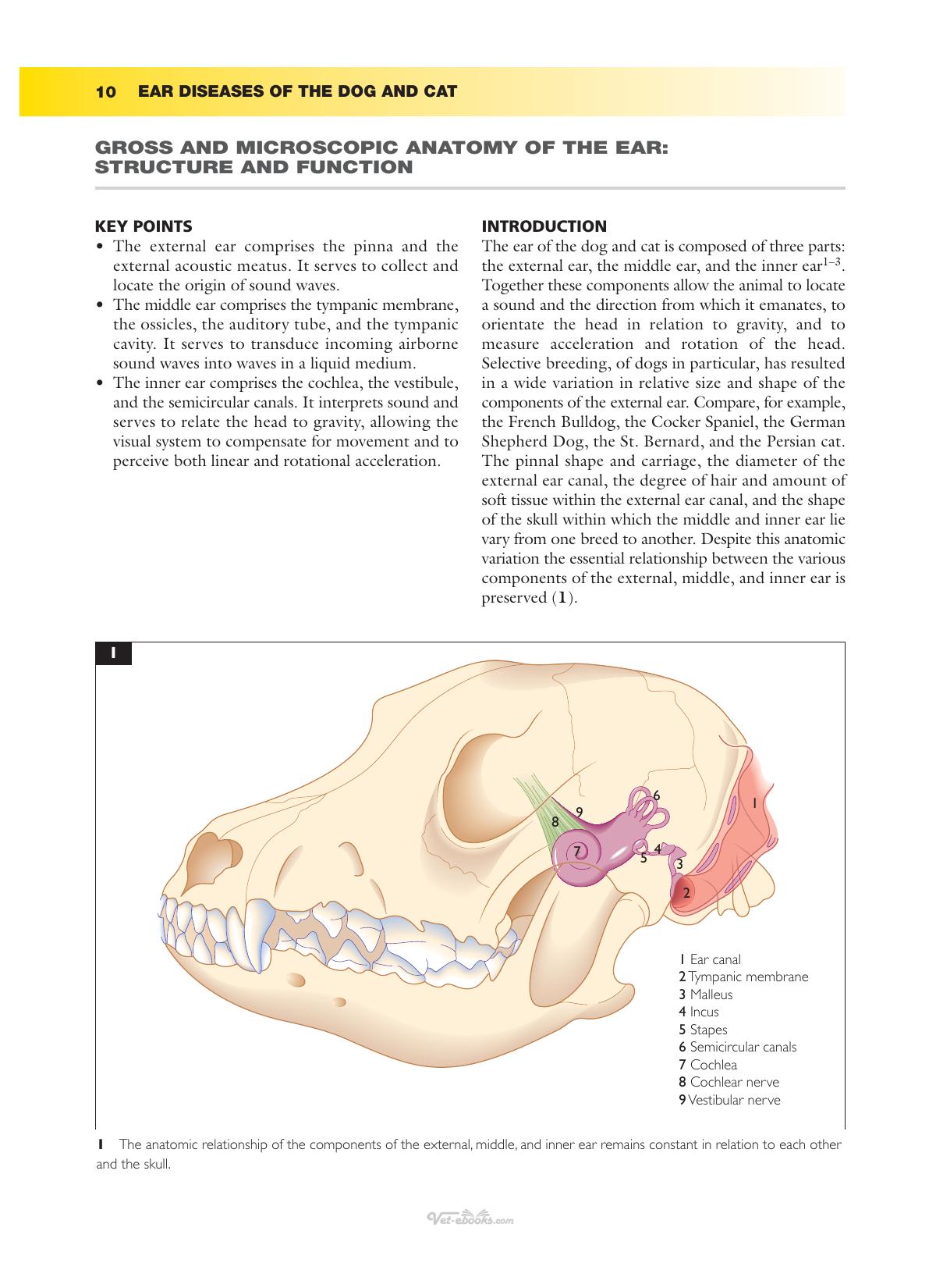 Ear Diseases Of The Dog And Cat