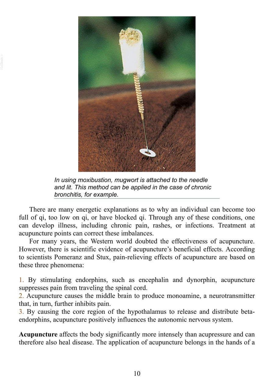 Preview page of Acupressure for Horses Hands on Techniques to Solve Performance Problems and Ease Pain and Discomfort Pdf