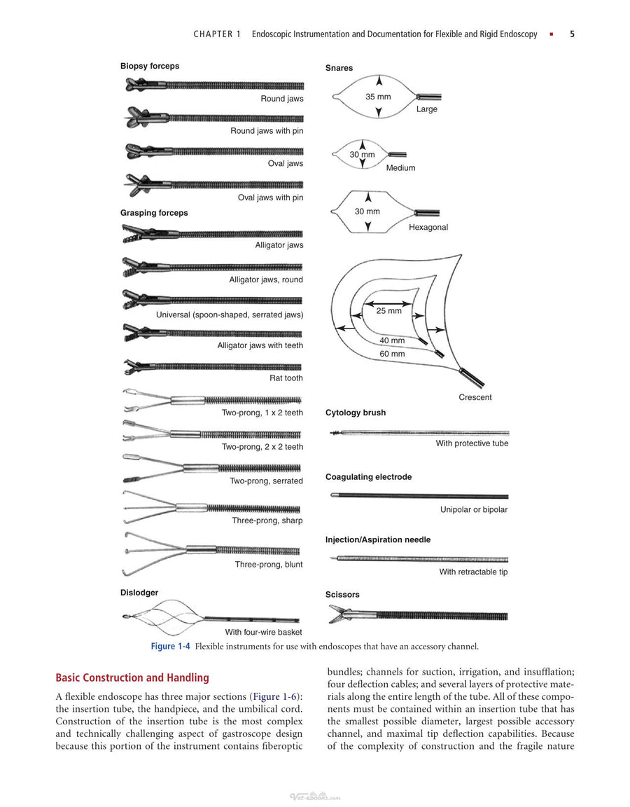 Preview page of Small Animal Endoscopy 3rd Edition