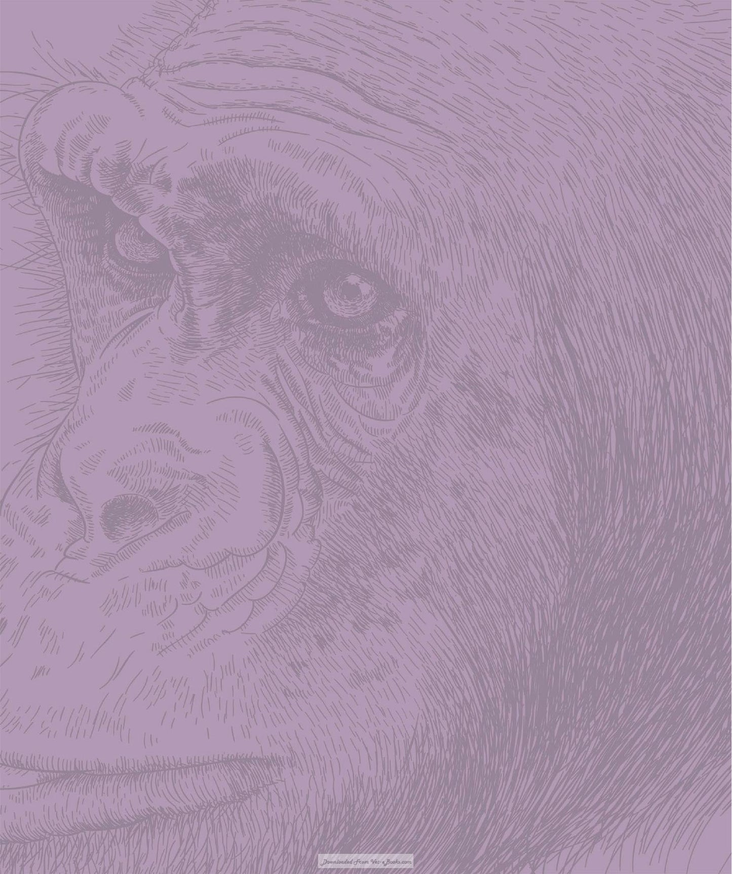 The Science Of Animals Inside Their Secret World