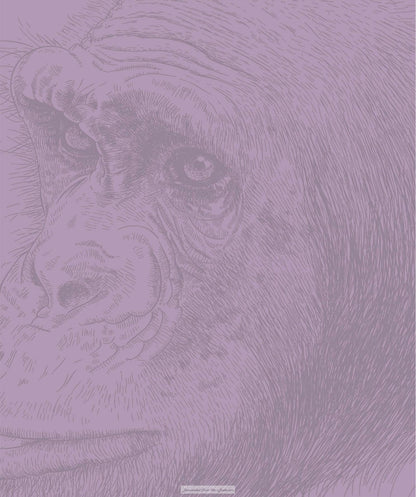 The Science of Animals Inside Their Secret World