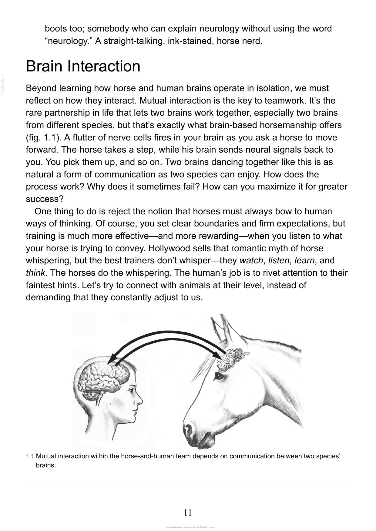 Look inside — page 11