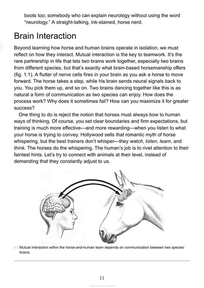 Look inside — page 11