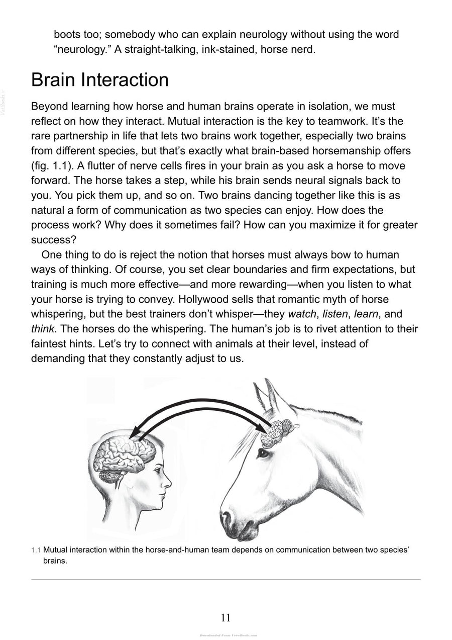 Preview page of Horses Brain Human Brain
