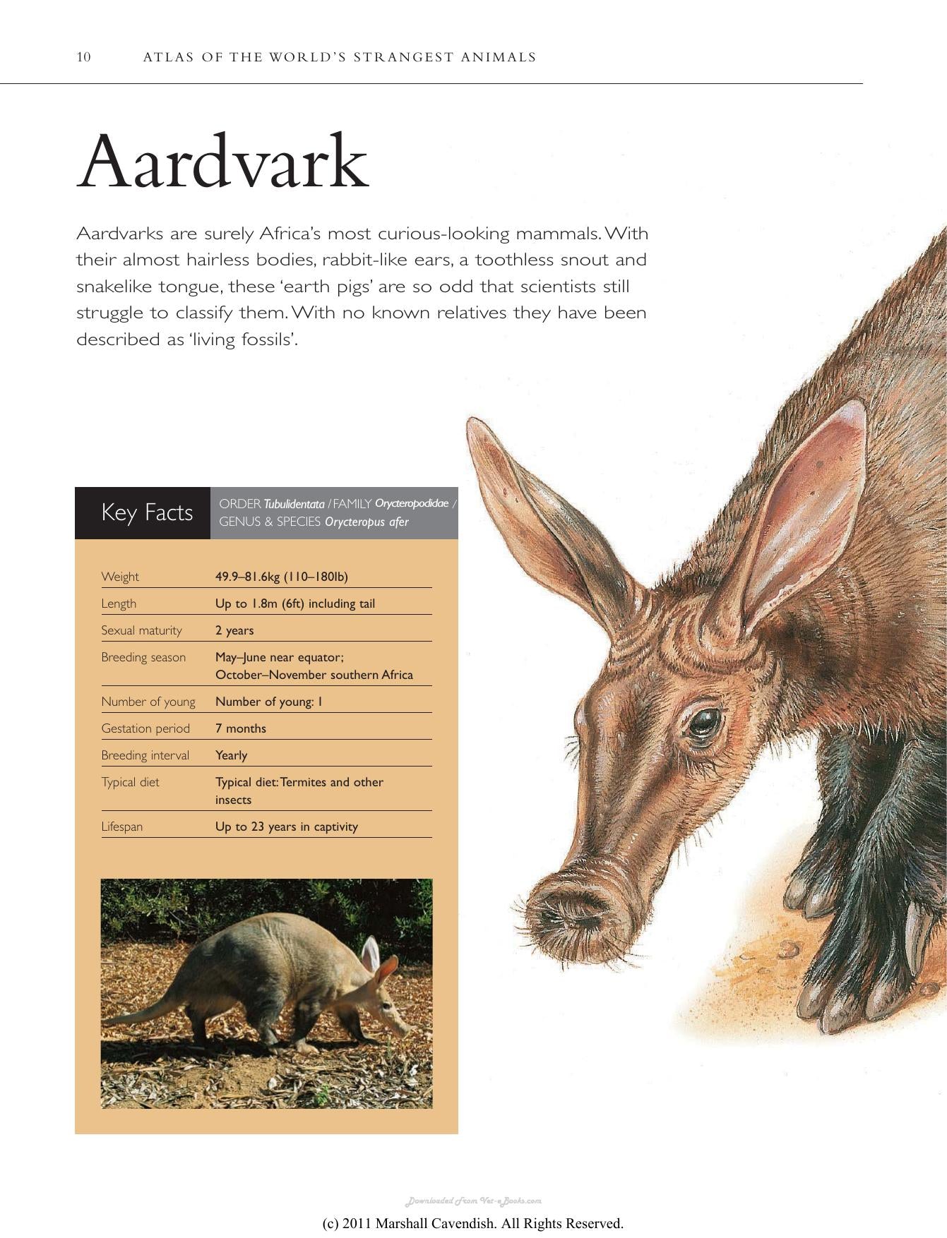 Atlas Of The Worlds Strangest Animals