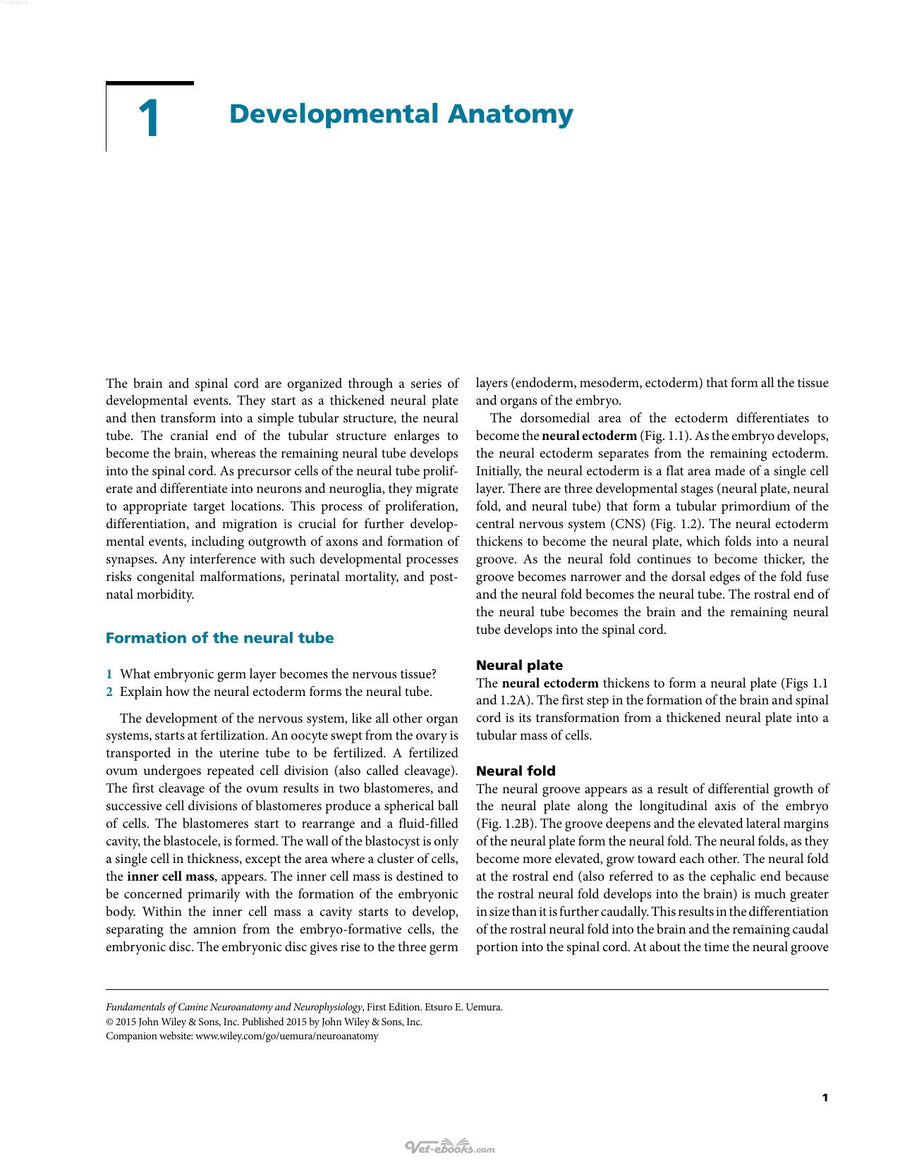 Preview page of Fundamentals of Canine Neuroanatomy and Neurophysiology