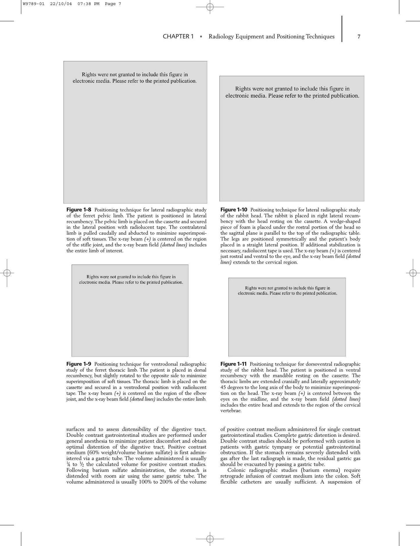 Radiology Of Rodents Rabbits And Ferrets An Atlas Of Normal Anatomy And Positioning