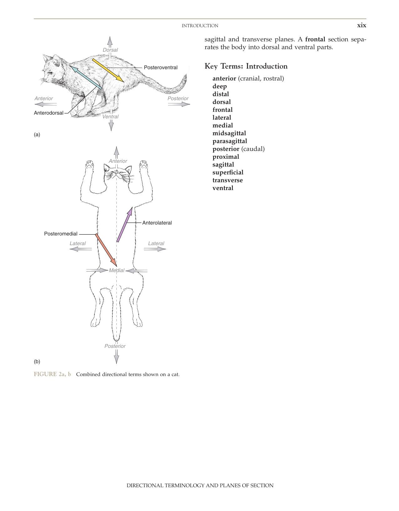 The Dissection Of Vertebrates 2Nd Edition