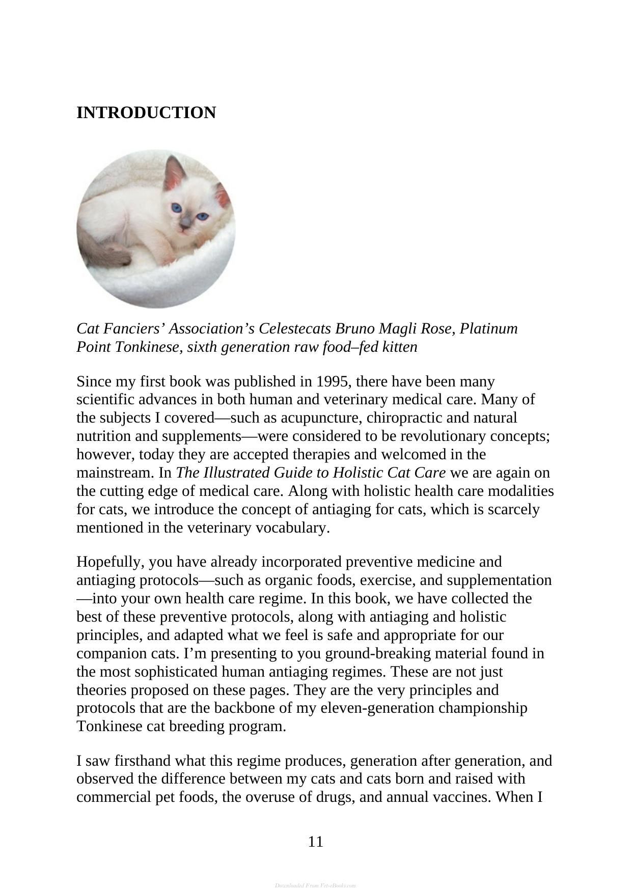 The Complete Guide To Holistic Cat Care An Illustrated Handbook
