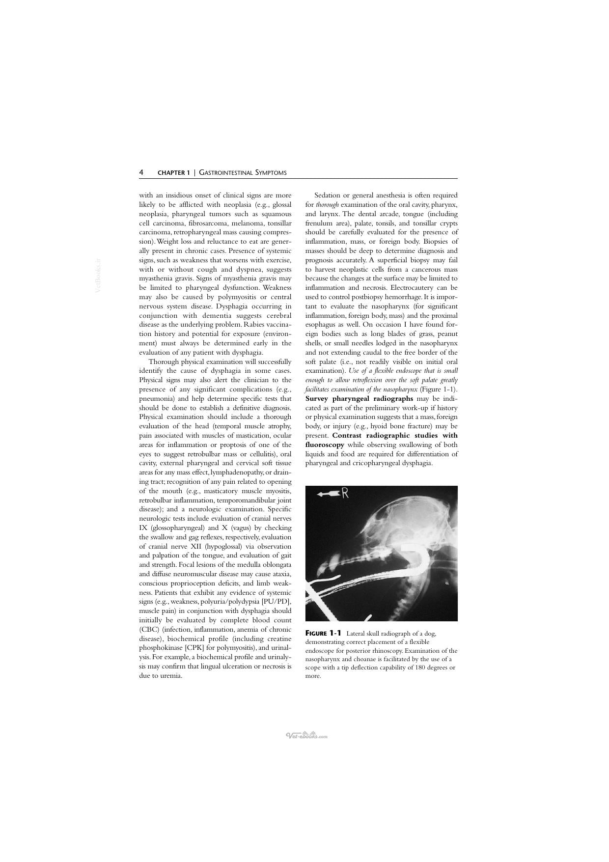 Handbook Of Small Animal Gastroenterology 2Nd Edition