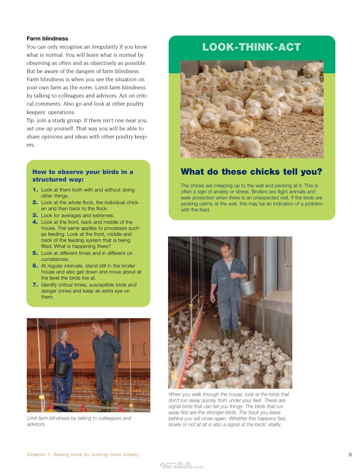 Broiler Signals A Practical Guide To Broiler Focused Management