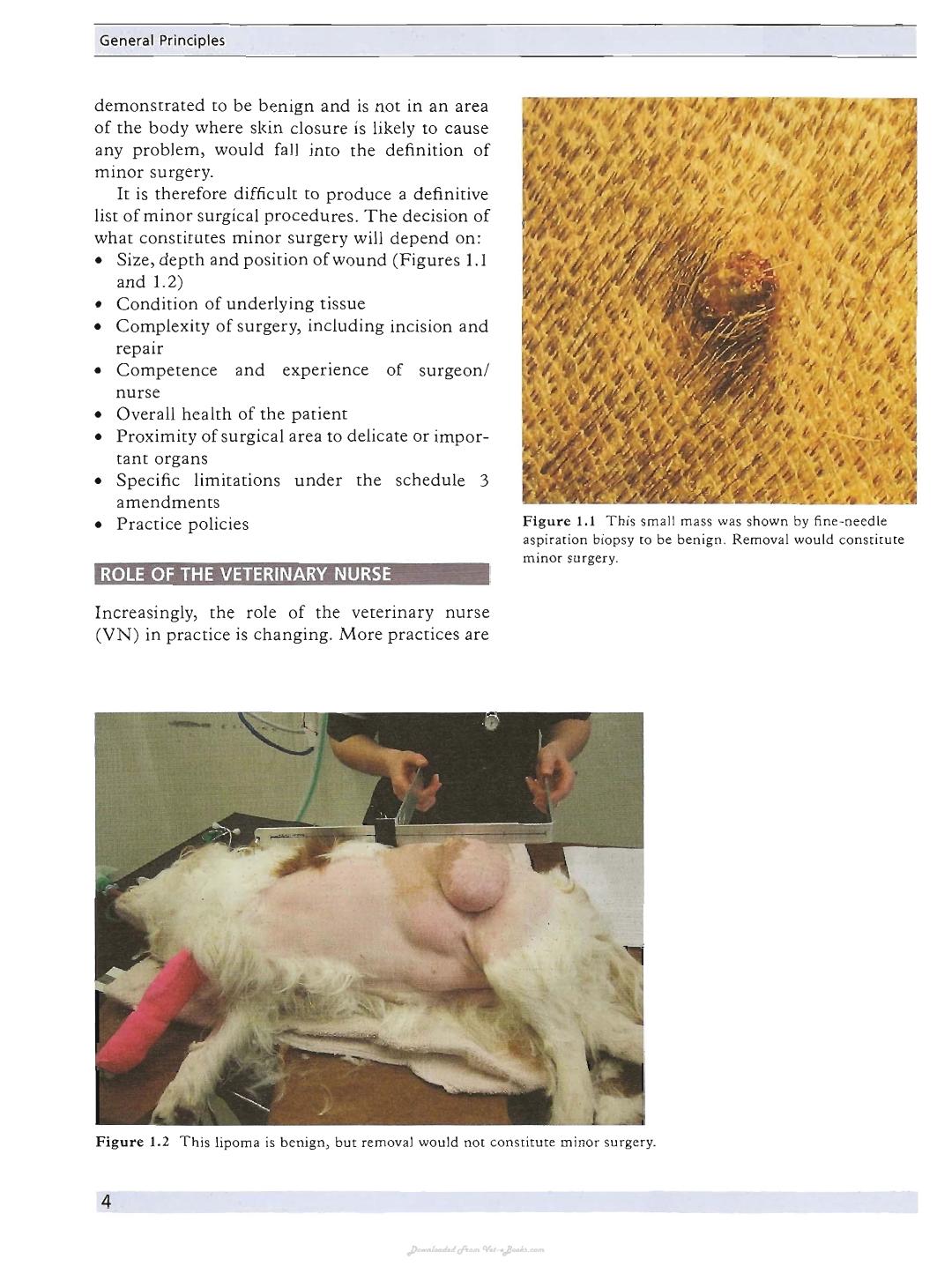 Minor Veterinary Surgery A Handbook For Veterinary Nurses