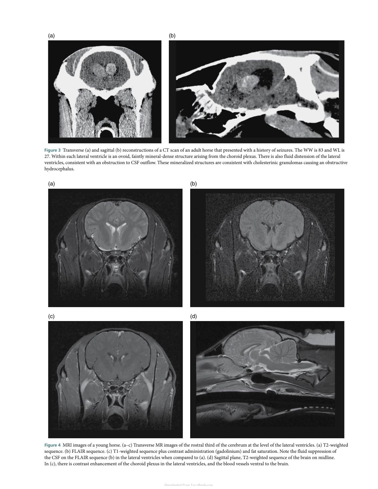 Atlas Of Clinical Imaging And Anatomy Of The Equine Head