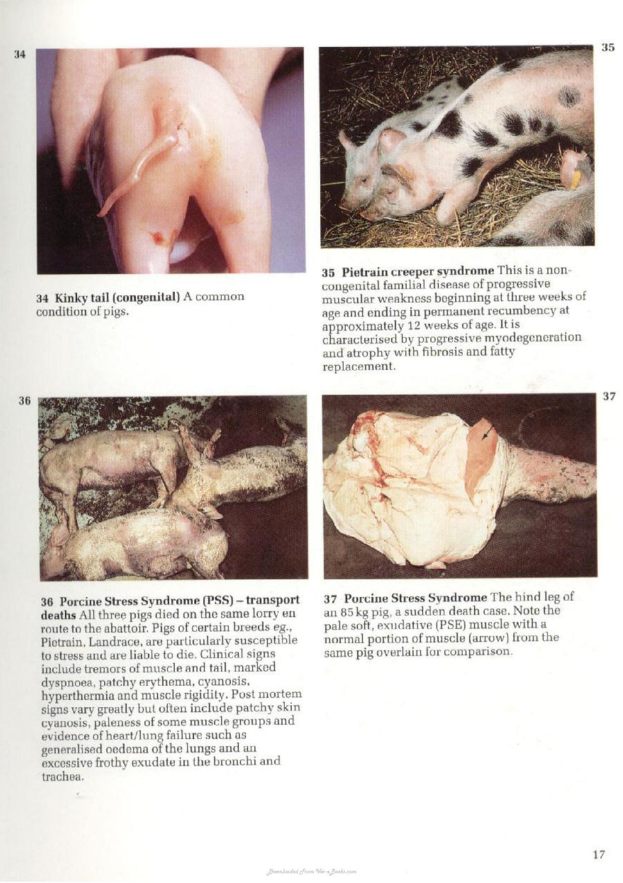 Preview page of A Colour Atlas of Diseases and Disorders of the Pig
