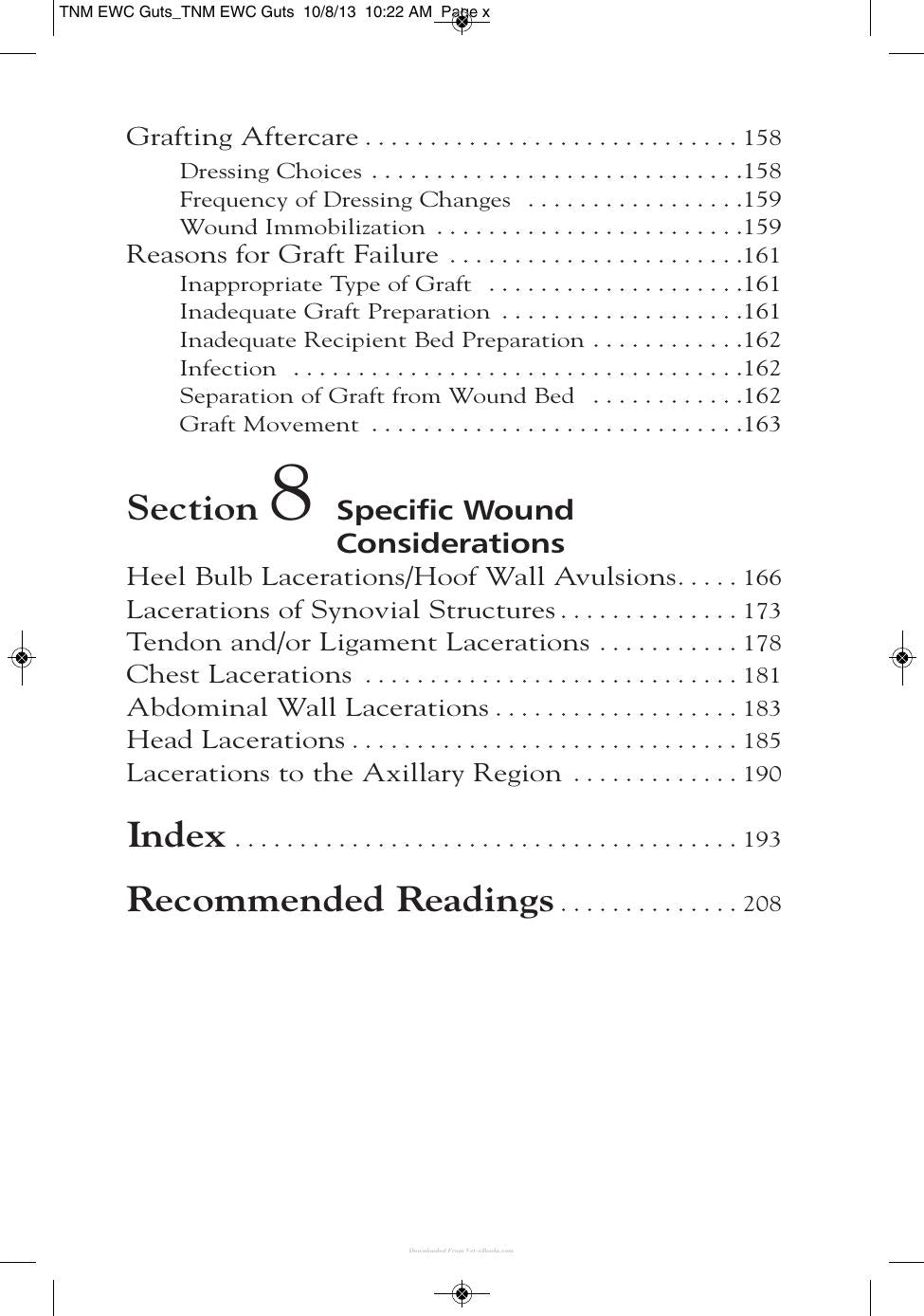 Wound Care Management For The Equine Practitioner