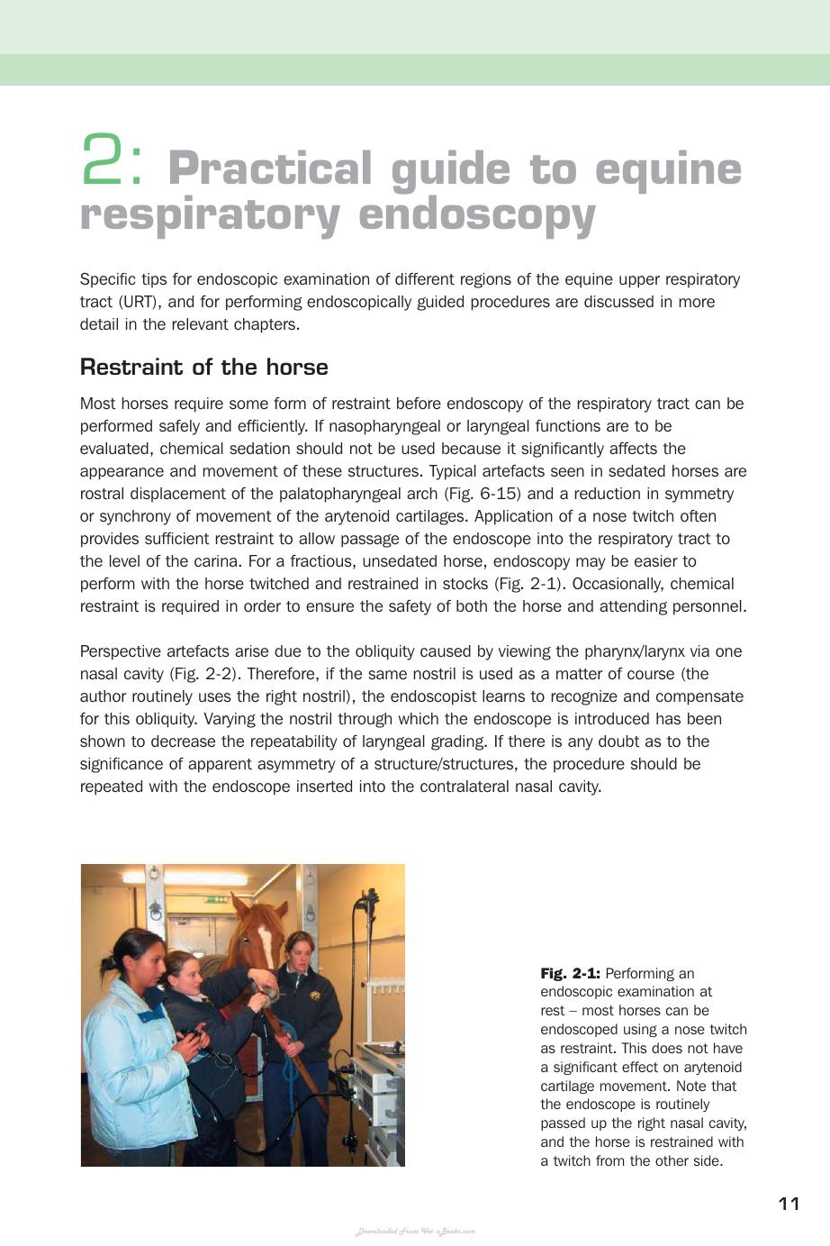 Handbook Of Equine Respiratory Endoscopy