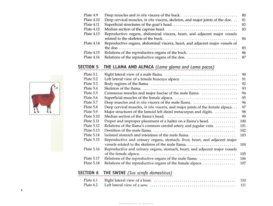 Preview page of Spurgeon's Color Atlas of Large Animal Anatomy: The Essentials