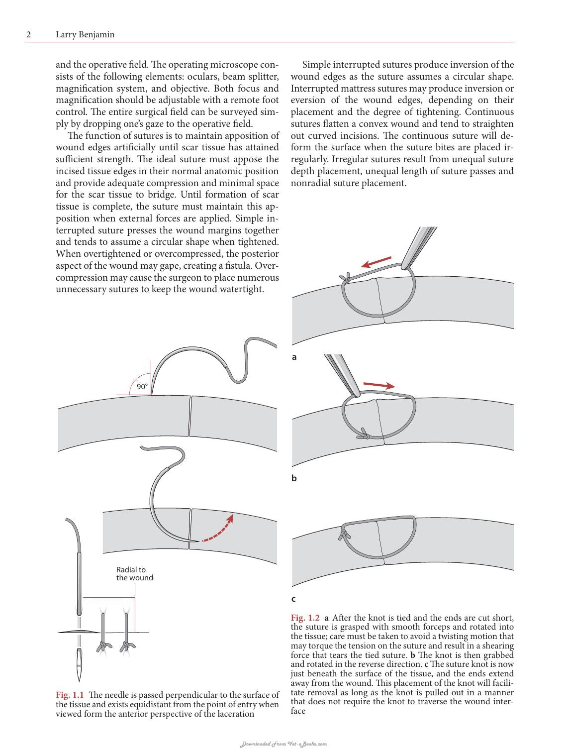 Look inside — page 12