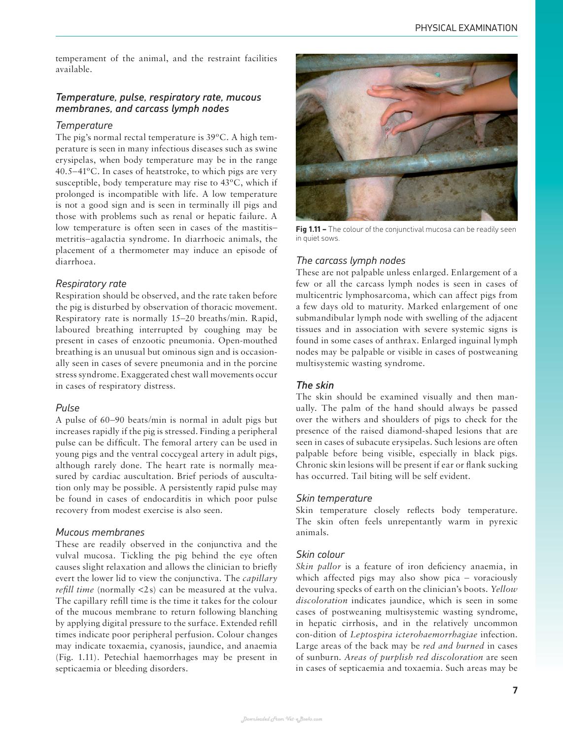 Handbook Of Pig Medicine